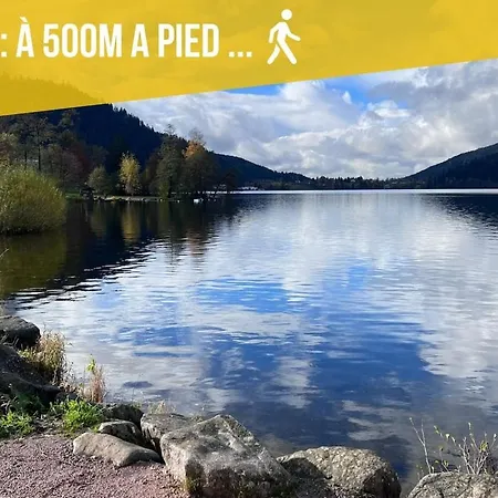 Le Vertpheny, Calme Et Coszy A 500 M Du Chalet *