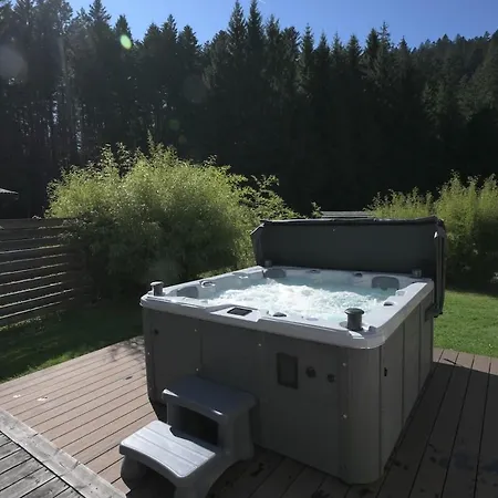 Vertpheny & Terrasse A 500m Du De * Gérardmer